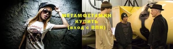 ПСИЛОЦИБИНОВЫЕ ГРИБЫ Грязовец