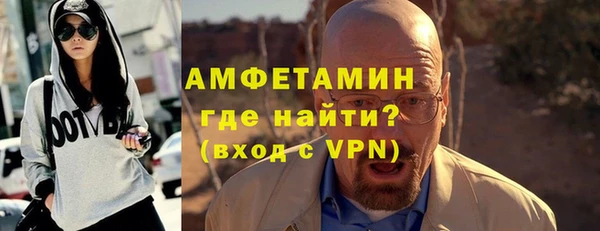 шишки Бородино