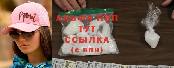 шишки Бородино