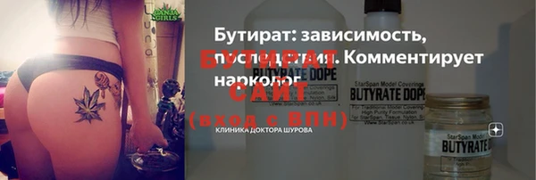шишки Бородино
