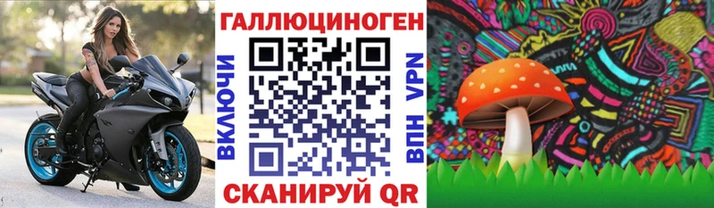 Галлюциногенные грибы Cubensis  Гулькевичи 