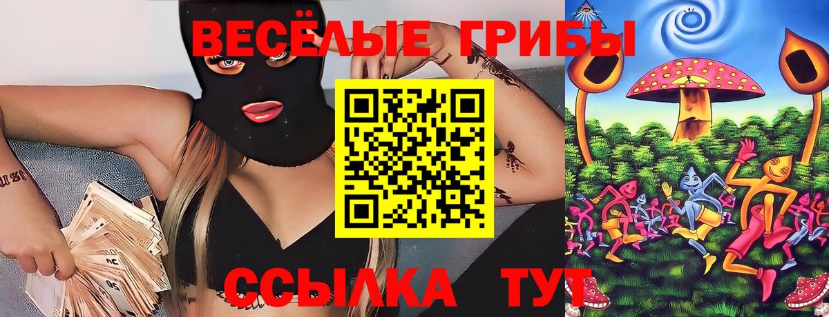 Псилоцибиновые грибы Magic Shrooms  Вход с VPN  Псилоцибиновые грибы ЛСД  продажа наркотиков  Гулькевичи 